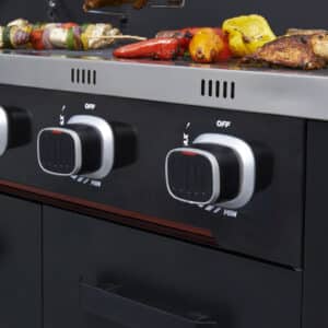 Norfolk Grills INFINITY 400 Gas 4 Burner with side burner