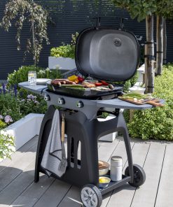 Norfolk Grills N Grill